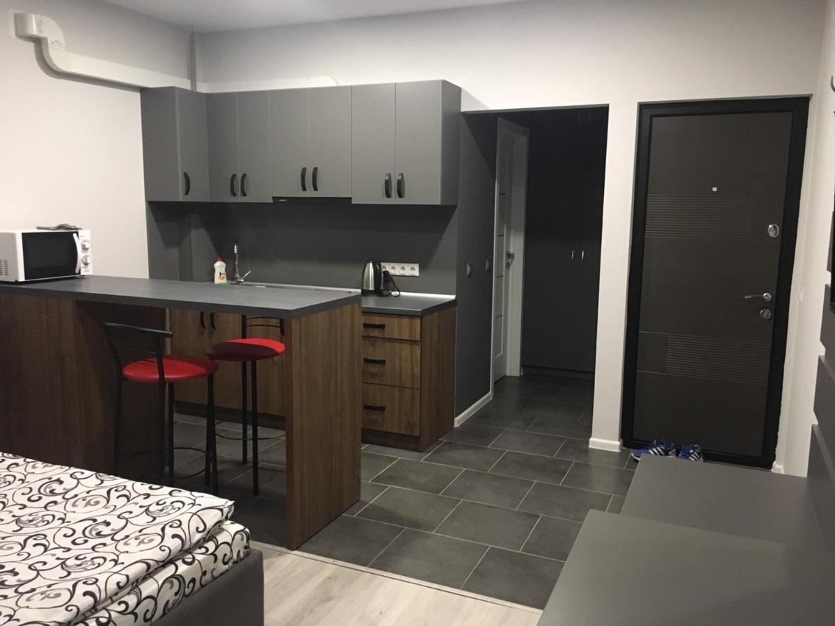Centre In Uzhgorod Apartman Kültér fotó