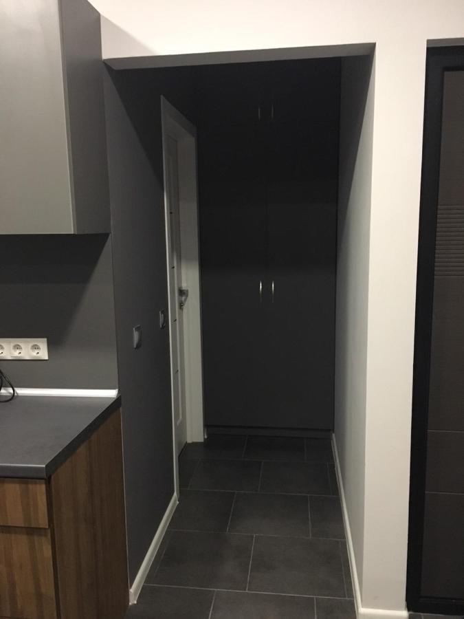 Centre In Uzhgorod Apartman Kültér fotó